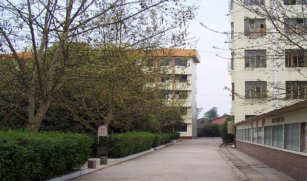 實訓(xùn)實習(xí)